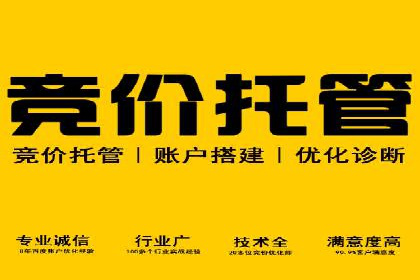 某品牌的信息流广告投放策略及效果展示